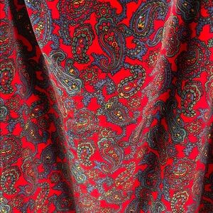 Paisley Velvet Hand Crafted Maxi Skirt